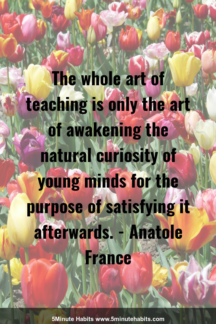 The whole art of teaching is only the art of awakening the natural curiosity of young minds for the purpose of satisfying it afterwards. - Anatole France